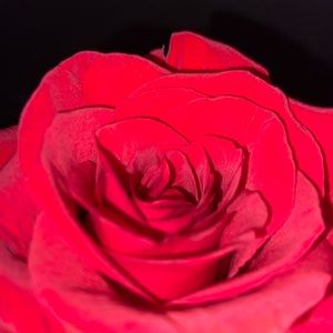 Meet your Posher, Vincenza